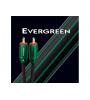 CABO EVERGREEN  2RCA«»2RCA (MODELO 1,00 MT)