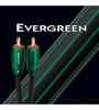 CABO EVERGREEN 2RCA«»2RCA (MODELO 1,50MT)