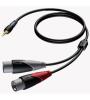 CABO JACK ESTéREO MACHO DE 3,5 MM - 2 X XLR MACHO CLA712/3  (3,00 MT )